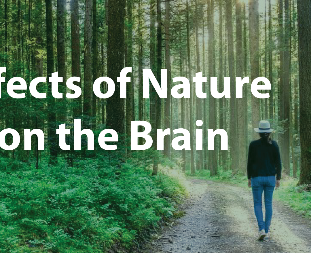 Effects of Nature on the Brain